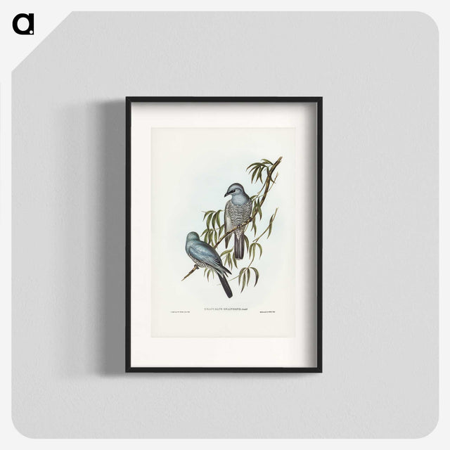 3-18_John-Gould_blk