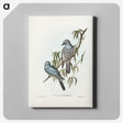 3-18_John-Gould_canvas