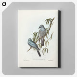 3-18_John-Gould_canvas