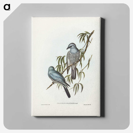3-18_John-Gould_canvas