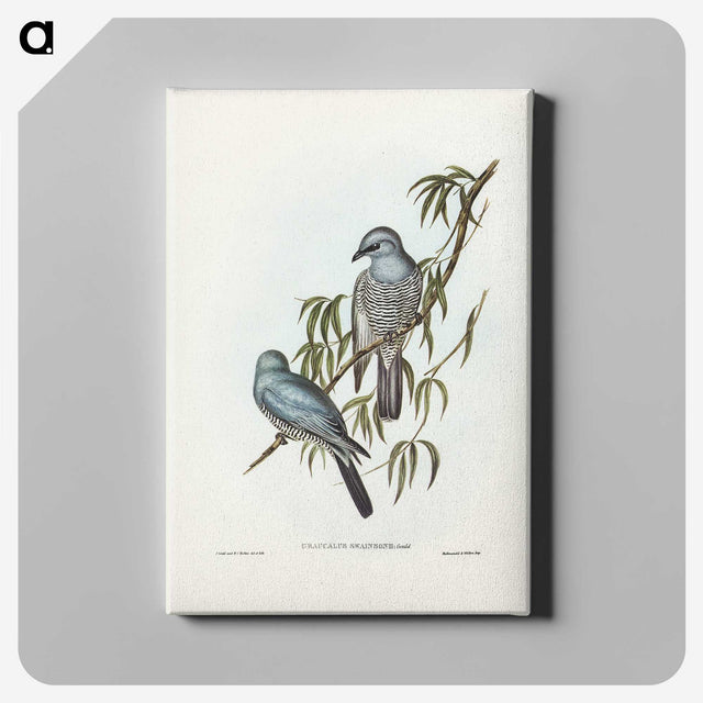 3-18_John-Gould_canvas