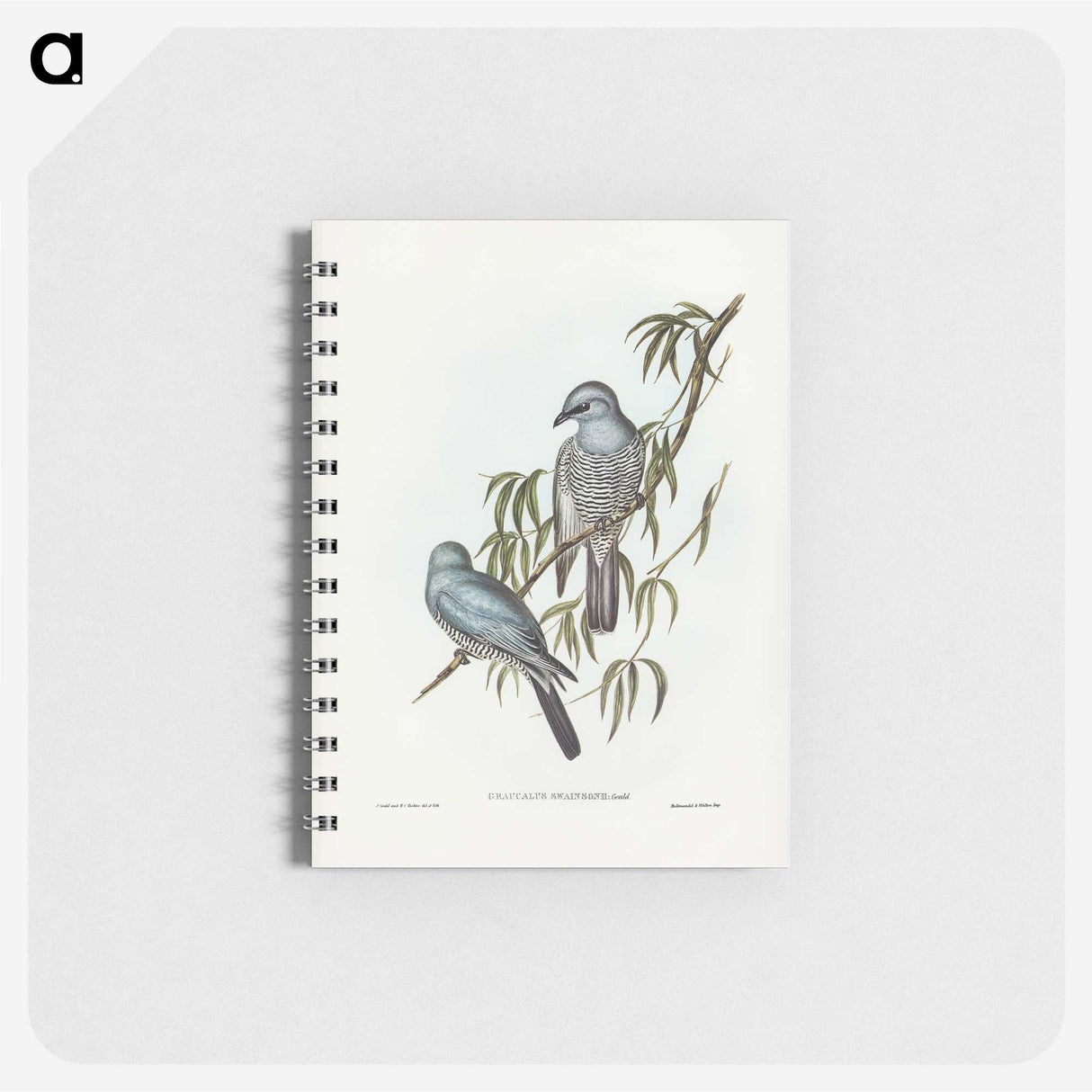3-18_John-Gould_memo