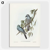 3-18_John-Gould_picture-crop