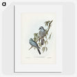 3-18_John-Gould_picture