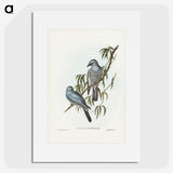 3-18_John-Gould_picture