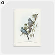 3-18_John-Gould_postcard