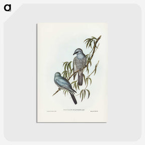 3-18_John-Gould_postcard