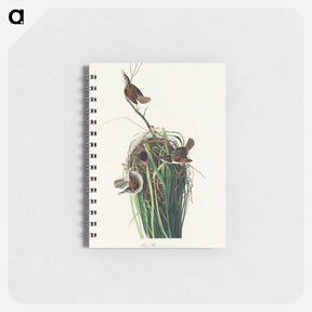 アートメモ帳-Marsh Wren
 - ジョン ジェームス オーデュボン Memo.