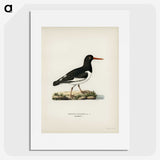 3-18_Magnus-von-Wright_picture