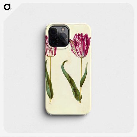 3-18_Maria-Sibylla-Merian_phone
