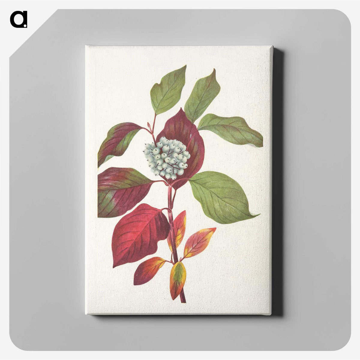 3-18_Mary-Vaux-Walcott_canvas