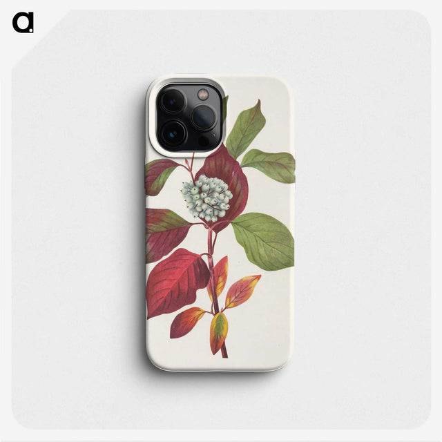 3-18_Mary-Vaux-Walcott_phone