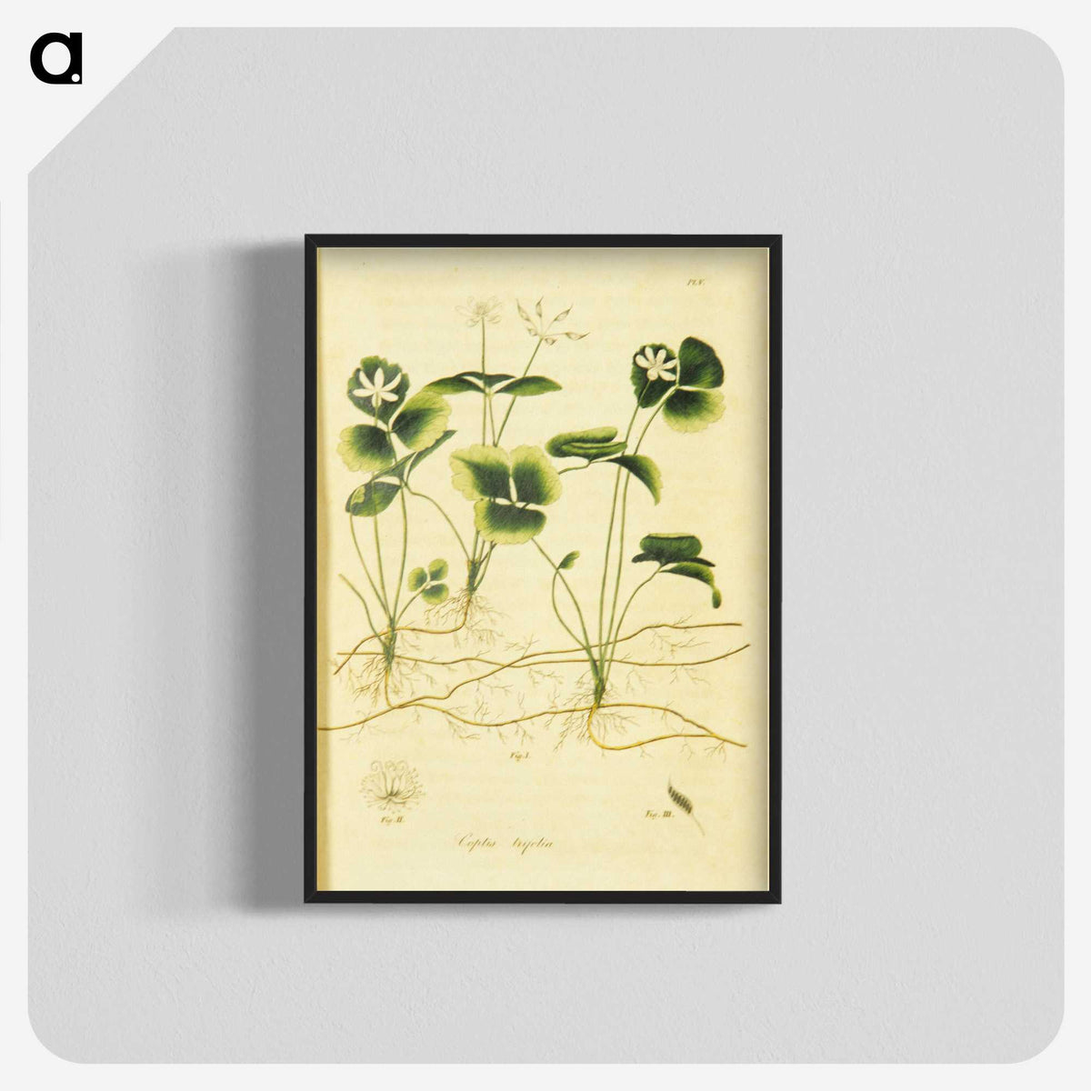 3-18_National-Library-of-Medicine_blk-crop