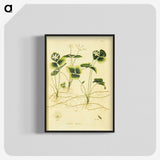 3-18_National-Library-of-Medicine_blk-crop