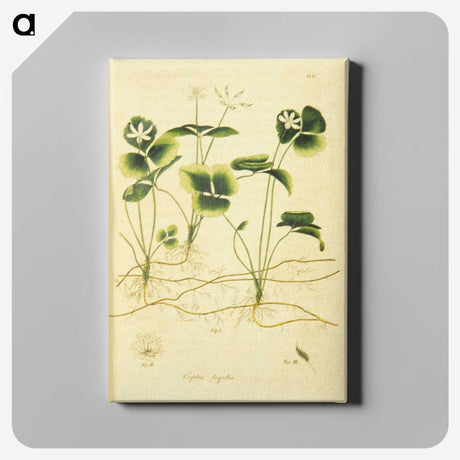 3-18_National-Library-of-Medicine_canvas