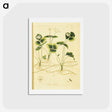 3-18_National-Library-of-Medicine_hagaki