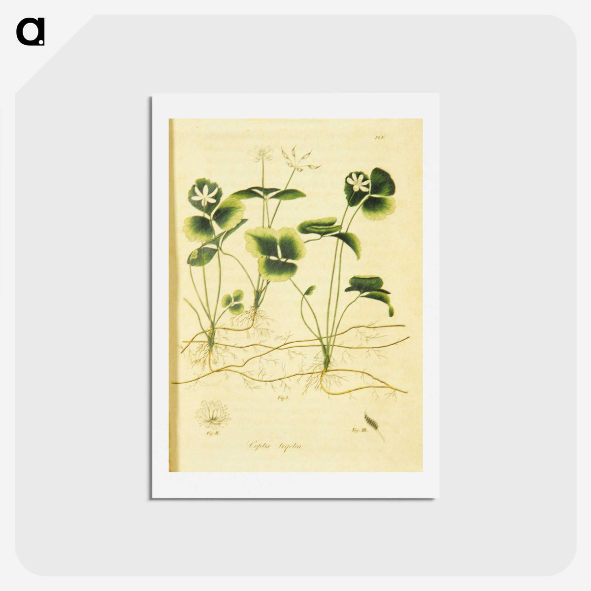 3-18_National-Library-of-Medicine_hagaki