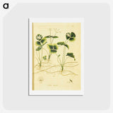 3-18_National-Library-of-Medicine_hagaki