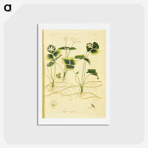 3-18_National-Library-of-Medicine_hagaki