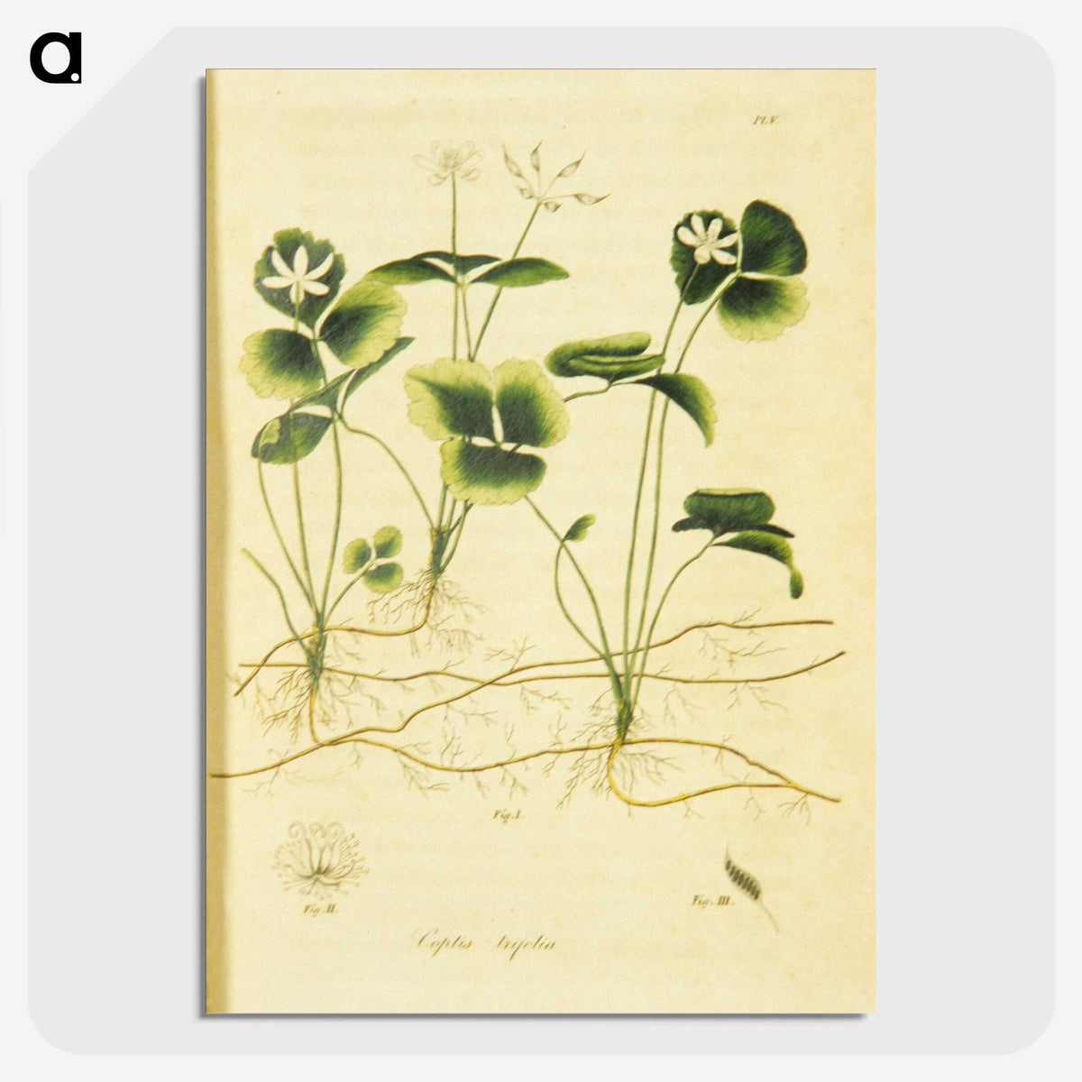 3-18_National-Library-of-Medicine_picture-crop