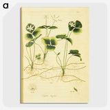 3-18_National-Library-of-Medicine_picture-crop