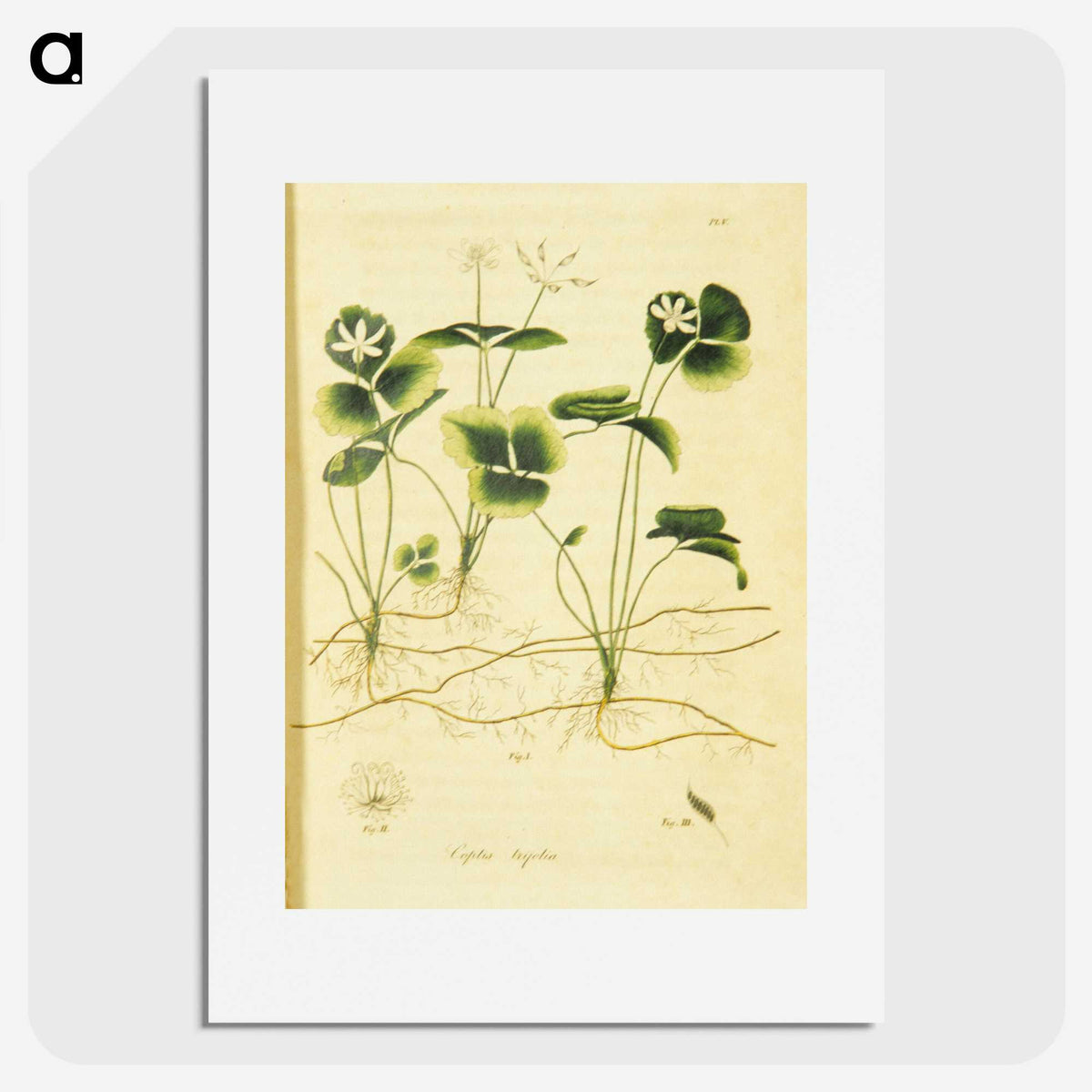 3-18_National-Library-of-Medicine_picture