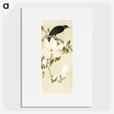 3-18_Ohara-Koson_picture