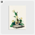 アートポストカード-Grass Finch, or Bay-winged Bunting from Birds of America
 - アメリカの鳥たち Postcard.