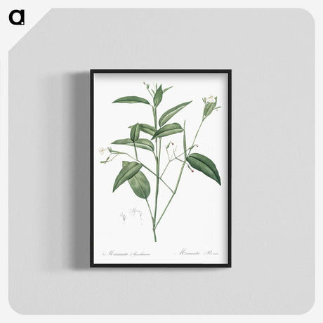3-18_The-Lilies_blk-crop
