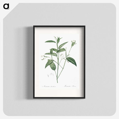 3-18_The-Lilies_blk