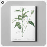 3-18_The-Lilies_canvas