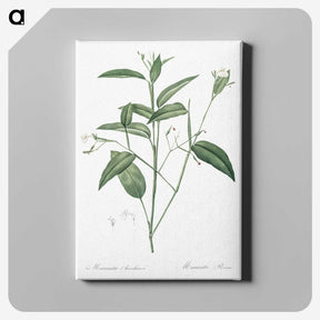 3-18_The-Lilies_canvas