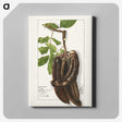3-18_USDA-Watercolor-Fruit-Painting-Collection_canvas