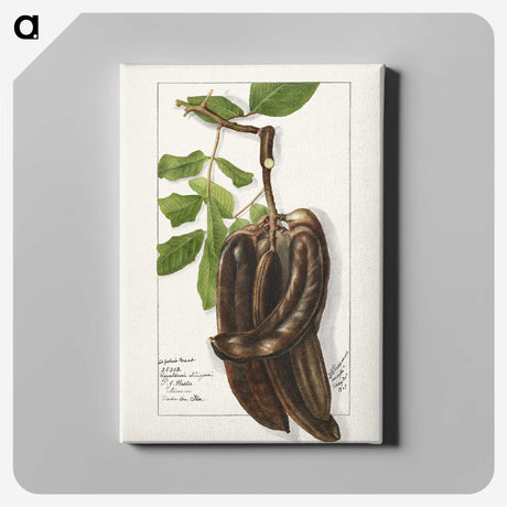 3-18_USDA-Watercolor-Fruit-Painting-Collection_canvas