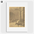 3-19_Alfred-Stieglitz_picture