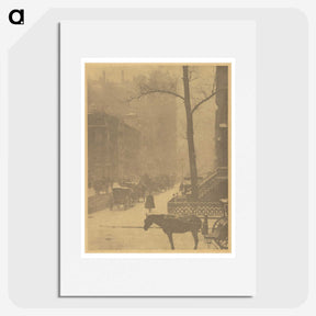 3-19_Alfred-Stieglitz_picture