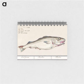 アートメモ帳-Cod - アンセルムス ボエティウス デ ブート Memo.