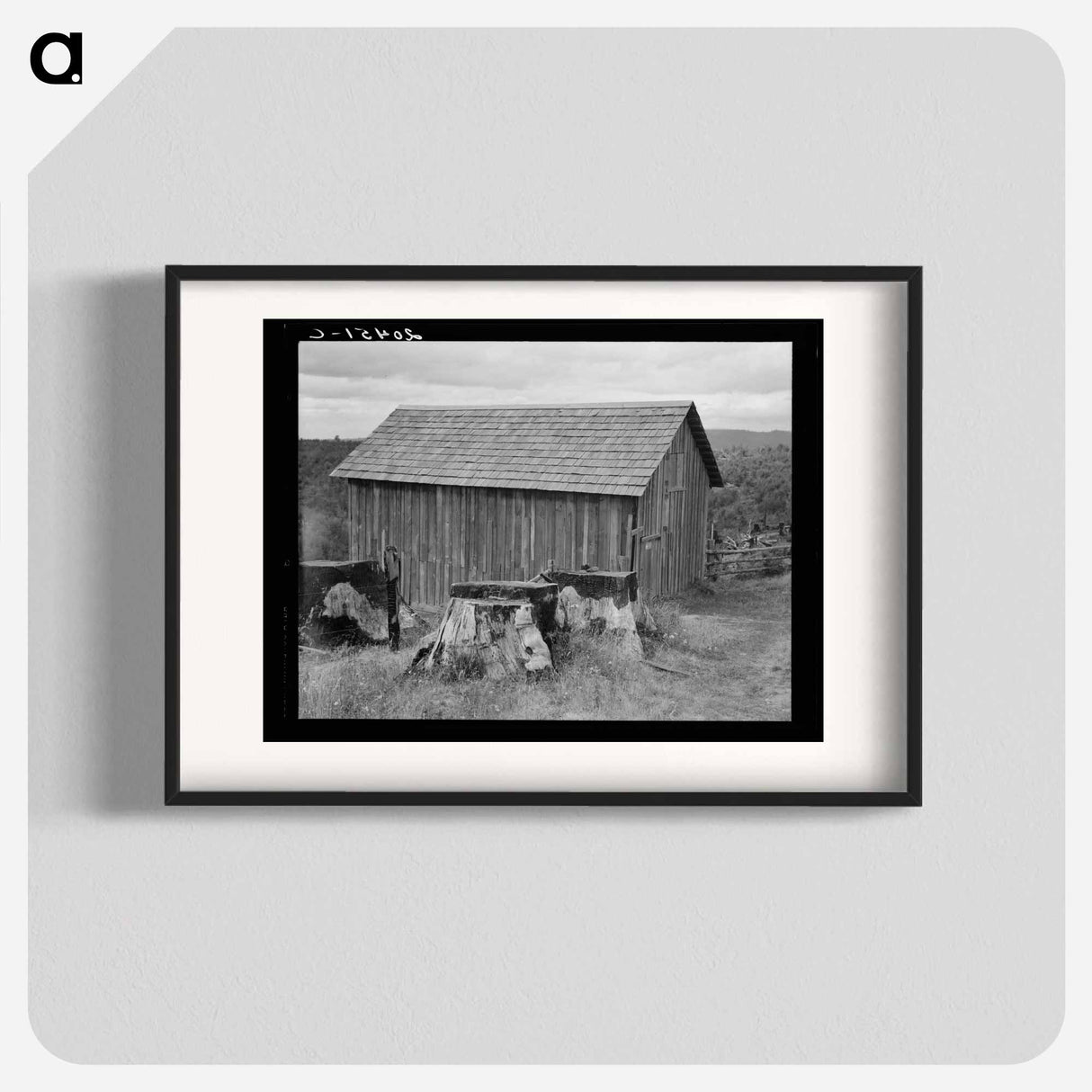 Stump Farm - Dorothea Lange Poster.