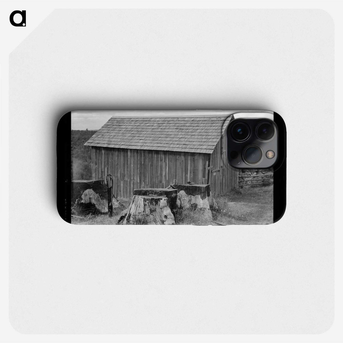 3-19_Dorothea-Lange_phone