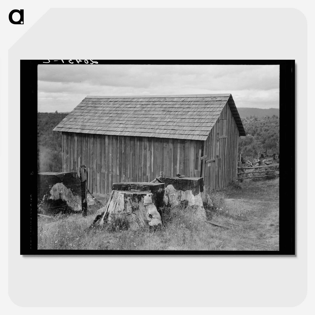 3-19_Dorothea-Lange_picture-crop