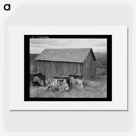 3-19_Dorothea-Lange_picture