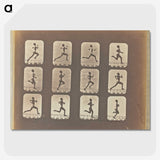 3-19_Eadweard-Muybridge_picture-crop