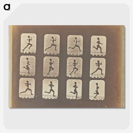 3-19_Eadweard-Muybridge_picture-crop