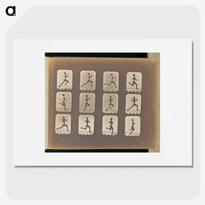 3-19_Eadweard-Muybridge_picture