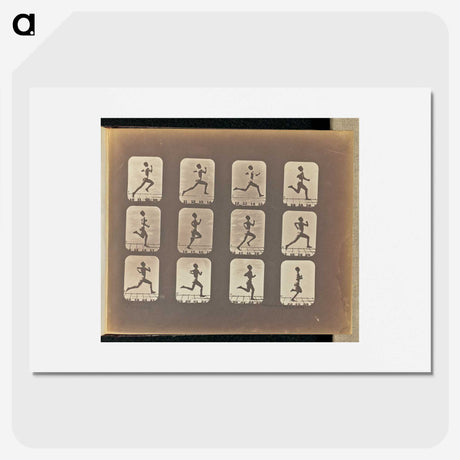 3-19_Eadweard-Muybridge_picture