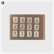 3-19_Eadweard-Muybridge_postcard