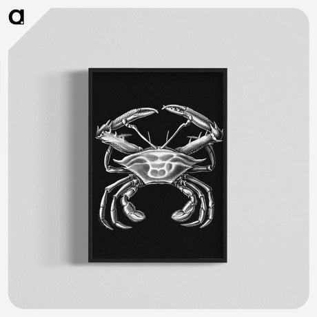 3-19_Ernst-Haeckel_blk-crop