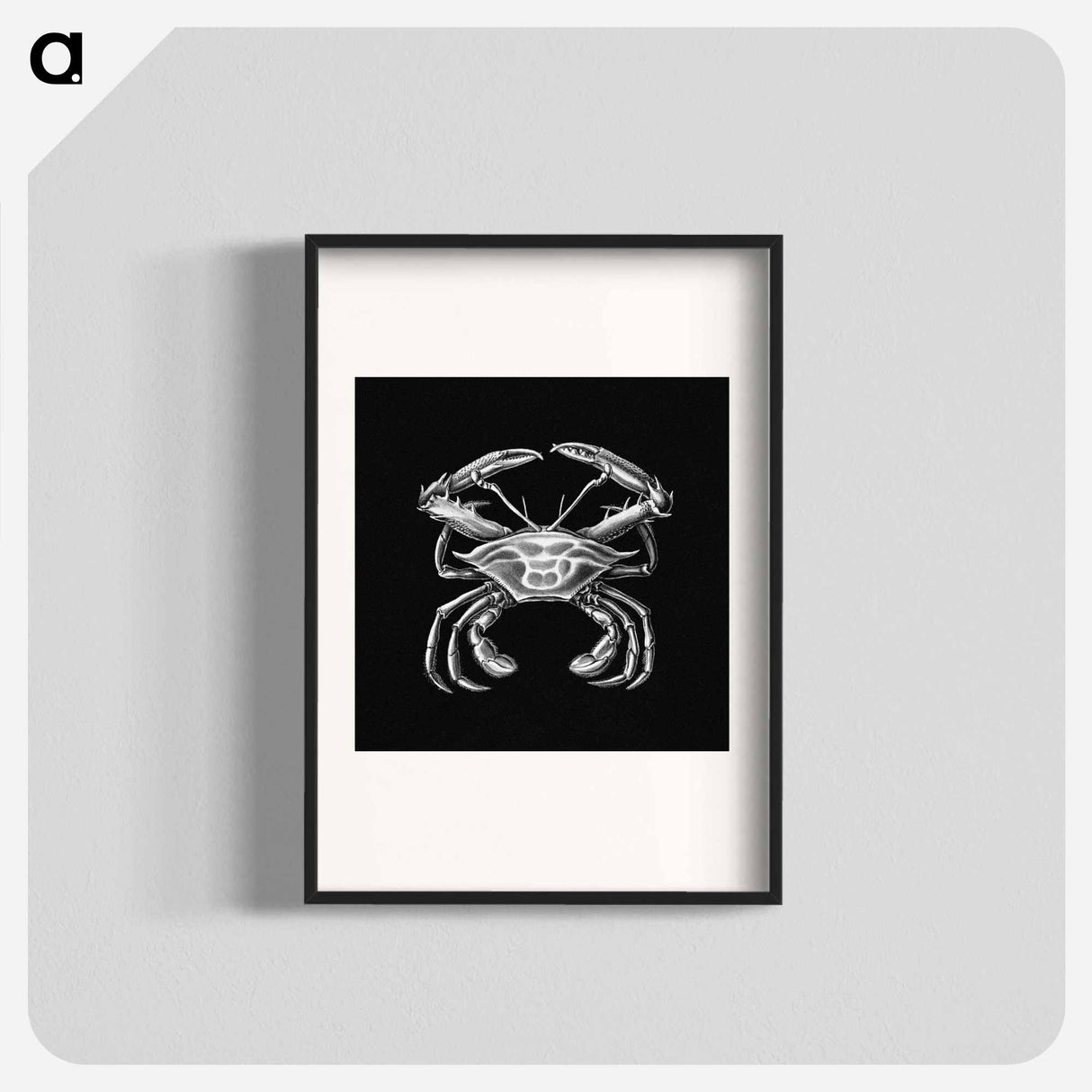 Vintage crab marine life illustration - エルンスト ヘッケル Poster.