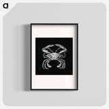Vintage crab marine life illustration - エルンスト ヘッケル Poster.