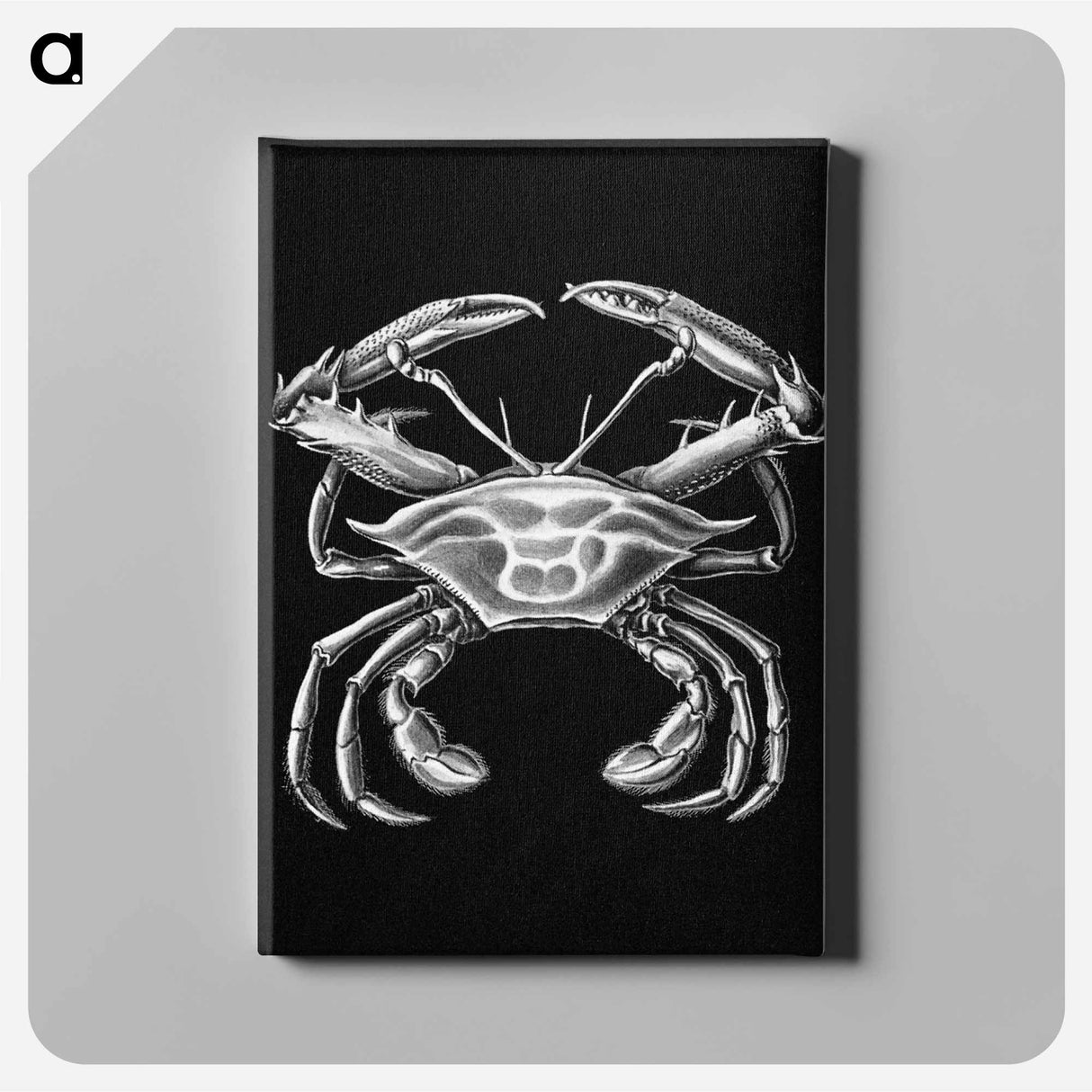 Vintage crab marine life illustration - エルンスト ヘッケル Canvas.